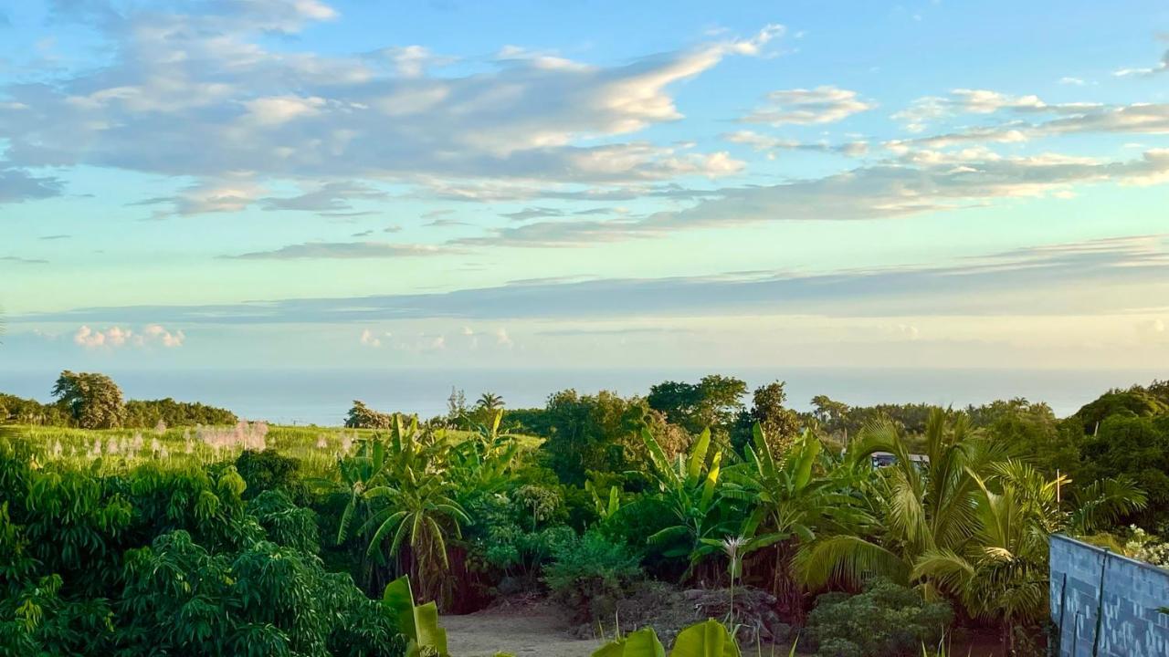 Les Villas De La Ligne Des Bambous Ravine des Cabris エクステリア 写真