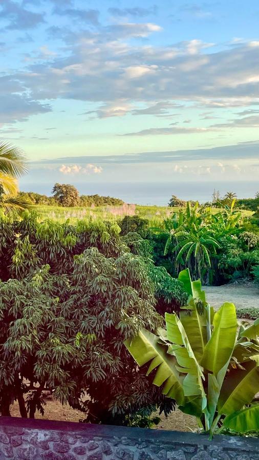 Les Villas De La Ligne Des Bambous Ravine des Cabris エクステリア 写真